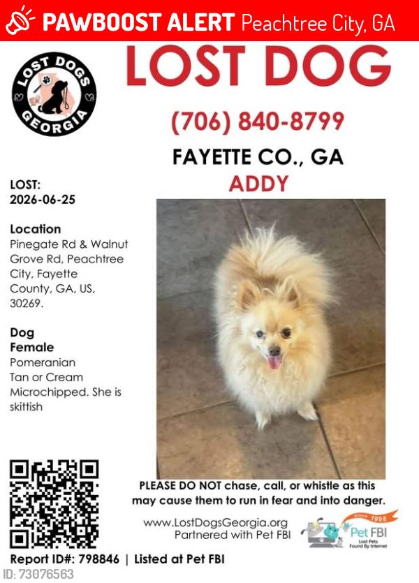 Lost Female Dog last seen Mirah hill and walnut grove , Peachtree City, GA 30269