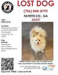 Lost Female Dog last seen Mirah hill and walnut grove , Peachtree City, GA 30269