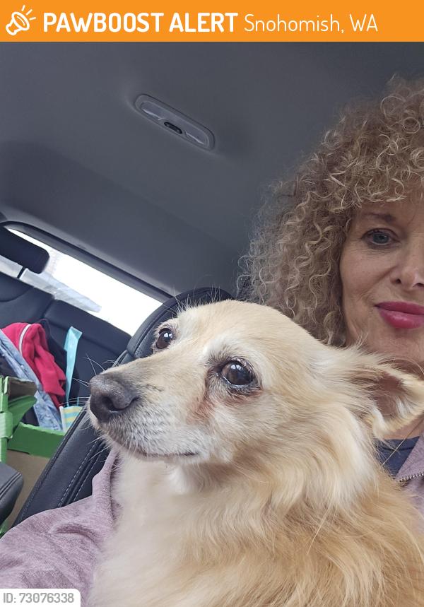 Found/Stray Male Dog last seen Homemakers road West of Snohomish, Snohomish, WA 98290
