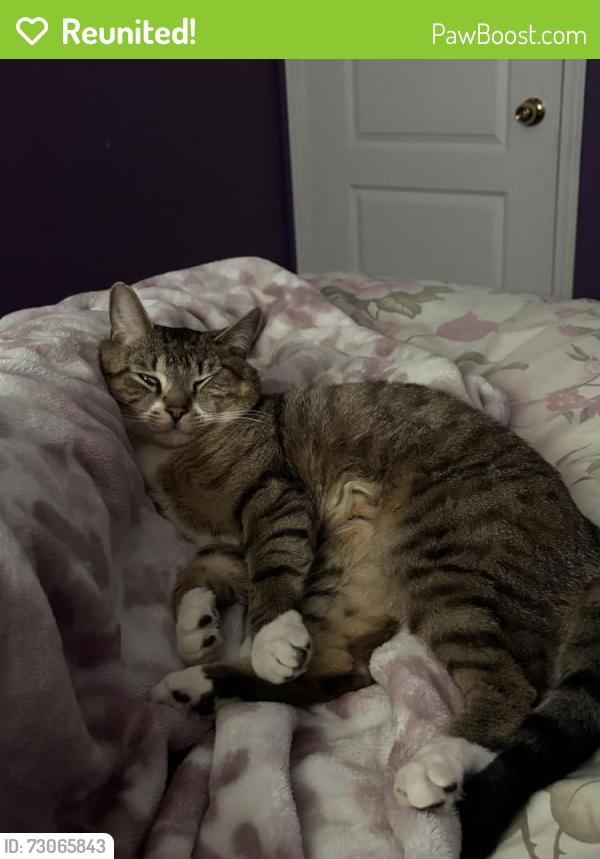 Reunited Male Cat last seen Credit river conservation area, Mississauga, ON 