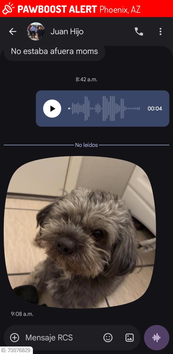 Lost Male Dog last seen Near n 41 dr, Phoenix, AZ 85019