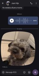 Lost Male Dog last seen Near n 41 dr, Phoenix, AZ 85019
