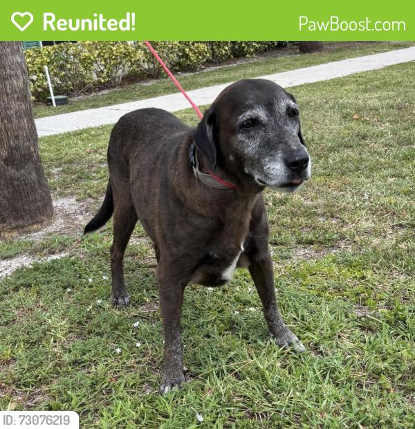 Reunited Unknown Dog last seen Port St. Lucie, Port St. Lucie, FL 34986