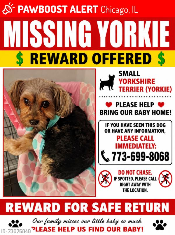 Lost Female Dog last seen Lawndale, Chicago, IL 60652