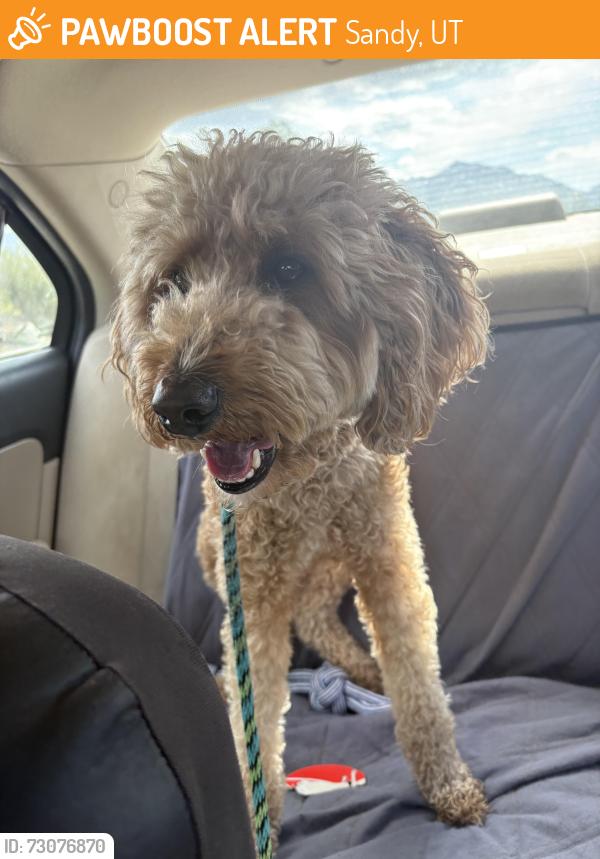 Found/Stray Male Dog last seen Near E. Galena Drive, Sandy, UT 84094