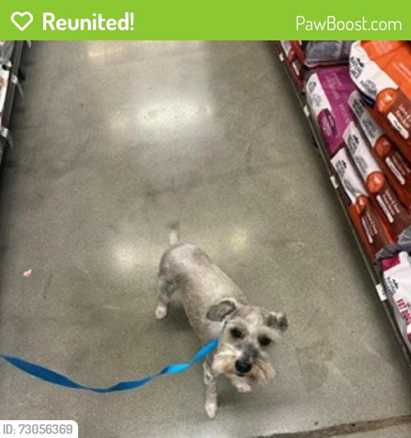 Reunited Male Dog last seen Near 10th Street NW, Washington, DC, Washington, DC 20001