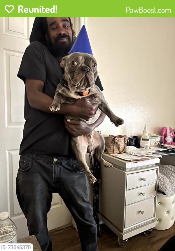 Reunited Male Dog last seen Palmer street and Lava street , Palm Bay, FL 32909