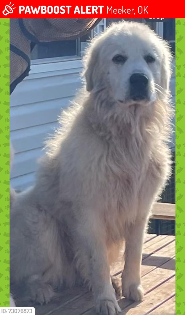 Lost Male Dog last seen Near & 3480, Meeker, OK 74855