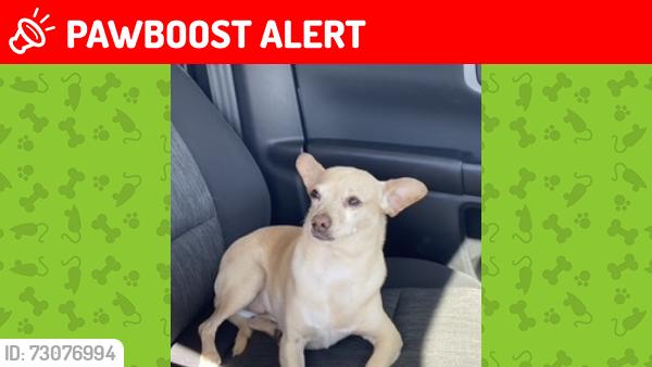 Lost Male Dog last seen Meadowlakes area by Iron Horse Golf Course, North Richland Hills, TX 76180