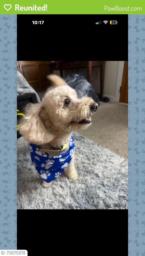 Reunited Male Dog last seen By speedway, Bethlehem, PA 18020