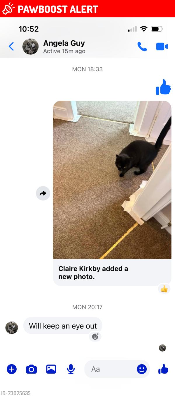 Lost Female Cat last seen Barrs Road, West Midlands, England B63 2SA