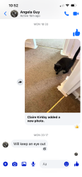 Lost Female Cat last seen Barrs Road, West Midlands, England B63 2SA