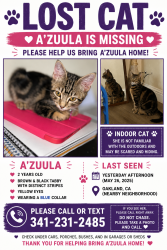 Reunited Female Cat last seen 2nd and 3rd street , Oakland, CA 94606