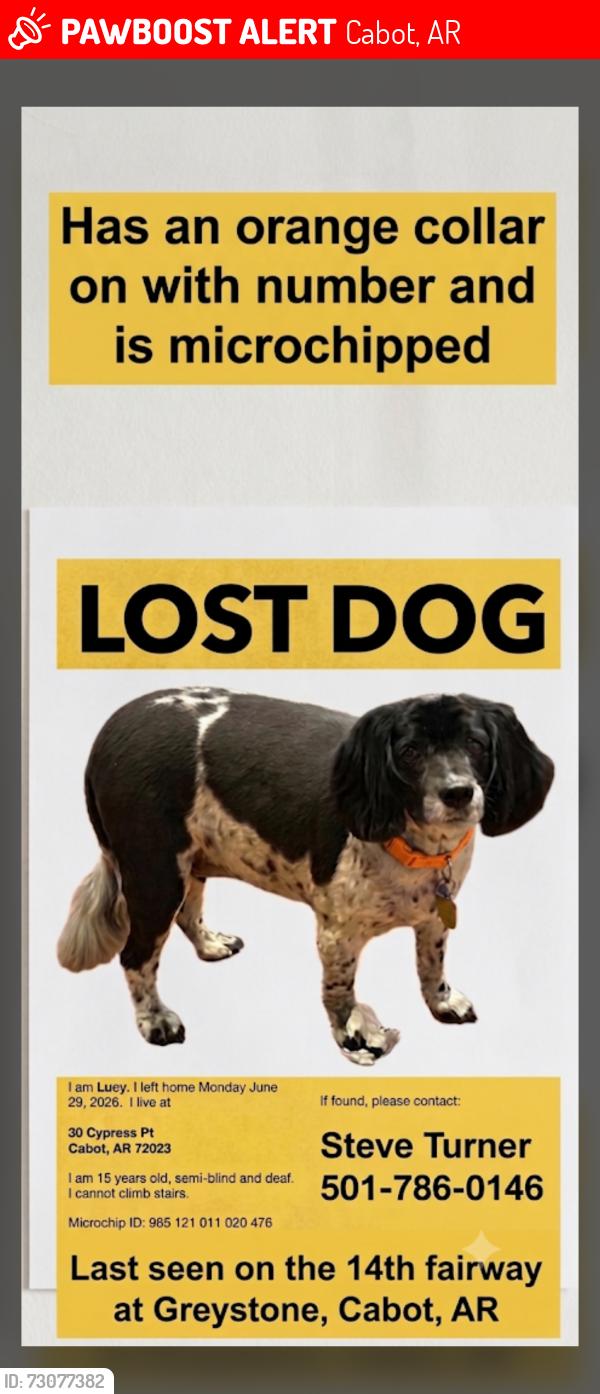 Lost Female Dog last seen Cypress Point, Cabot, AR, Cabot, AR 72023