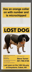 Lost Female Dog last seen Cypress Point, Cabot, AR, Cabot, AR 72023