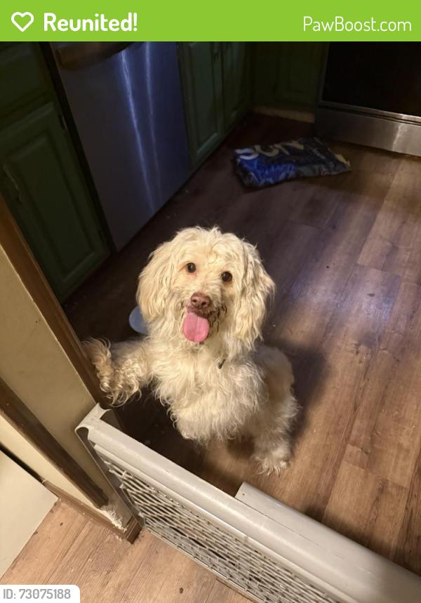 Reunited Unknown Dog last seen The Big Park in Country Club, Maybrook, NY 12543
