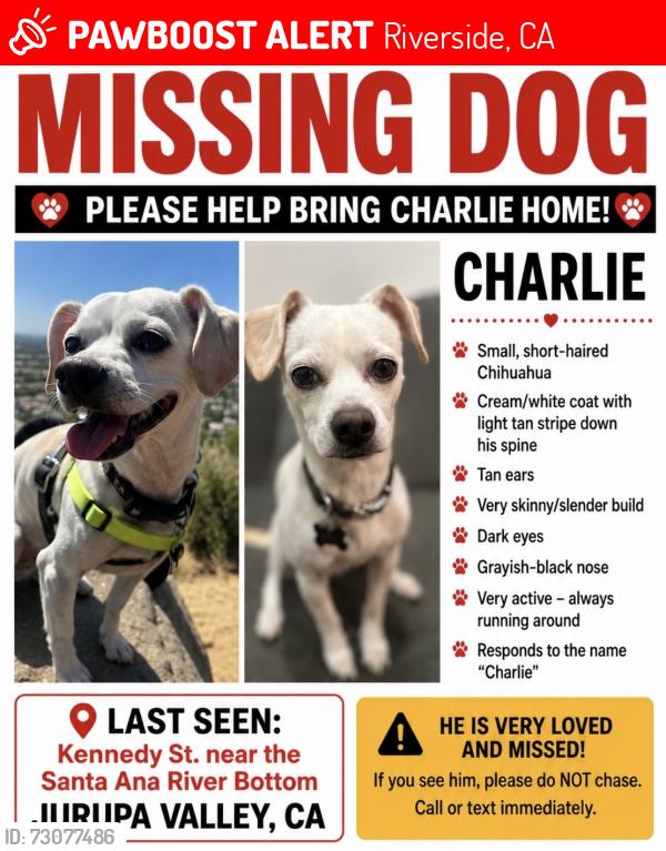 Lost Male Dog last seen Kennedy st near the Santa Ana river bottom, Riverside, CA 92509
