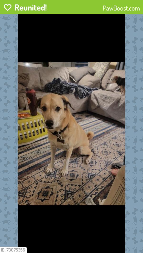 Reunited Female Dog last seen Leu Gardens , Corner of Corrine Drive and North Forest Avenue, Orlando, FL 32803