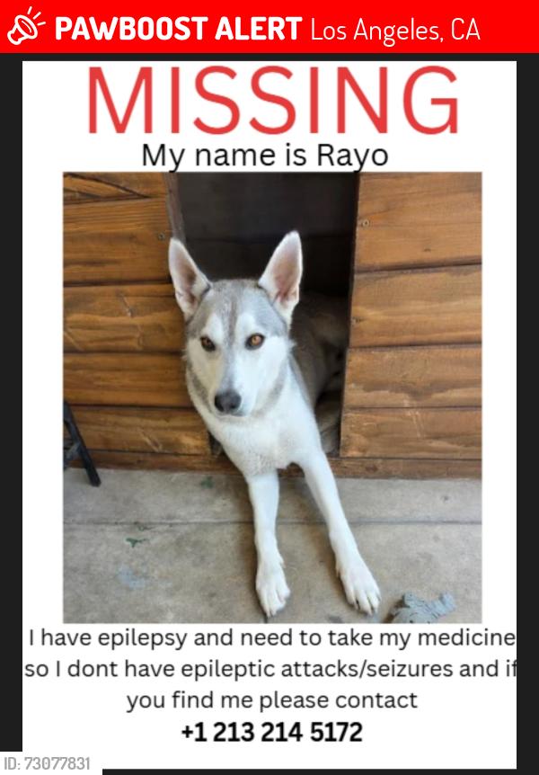 Lost Male Dog last seen Near y avalon, Los Angeles, CA 90003