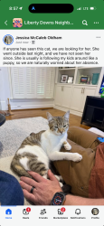 Lost Female Cat last seen Concord and Green Hill Blvd, Brentwood, TN 37027