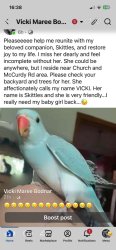 Lost Female Bird last seen McCurdy road, Herne Hill, VIC 3218