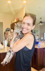 Reunited Male Cat last seen Bene vista drive in Grand Oaks , Houston, TX 77084