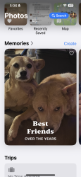 Lost Male Dog last seen NW 3rd and Hill, Grand Prairie, TX 75050