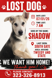 Lost Male Dog last seen wisconsin and tweedy, South Gate, CA 90280
