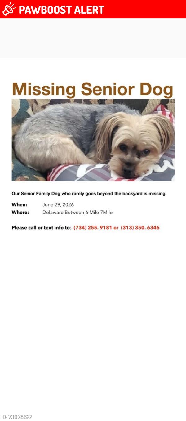 Lost Male Dog last seen Between 6 & 7 mile, Redford Township, MI 48240