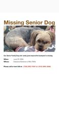 Lost Male Dog last seen Between 6 & 7 mile, Redford Township, MI 48240