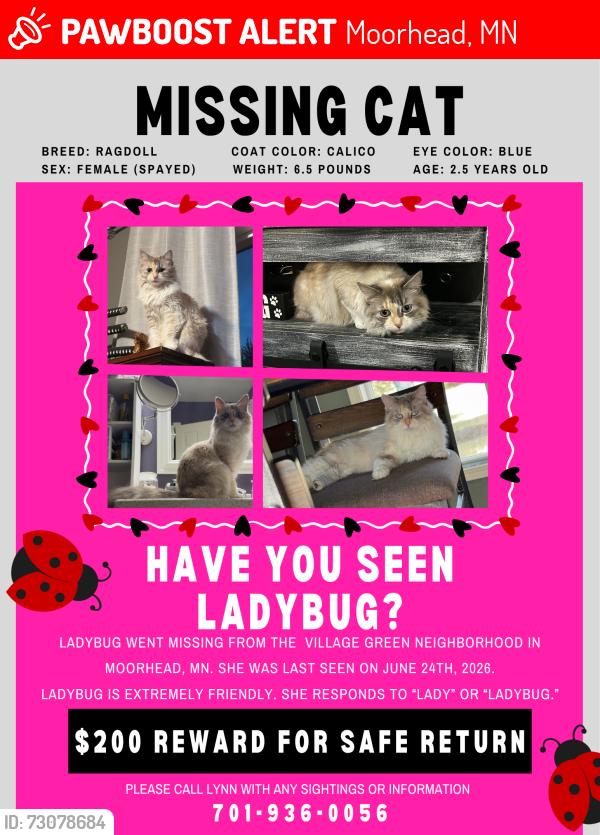 Lost Female Cat last seen Near village green dr, Moorhead, MN 56560