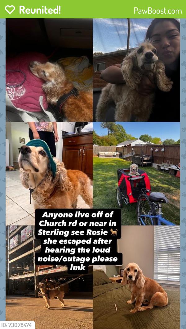 Reunited Female Dog last seen Claude more area, Sterling, VA 20164