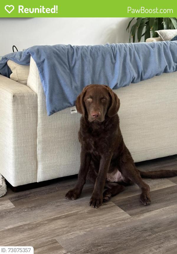 Reunited Male Dog last seen Sky lake community , Boynton Beach, FL 33426