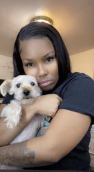 Lost Female Dog last seen Near n 42nd st, Milwaukee, WI 53209
