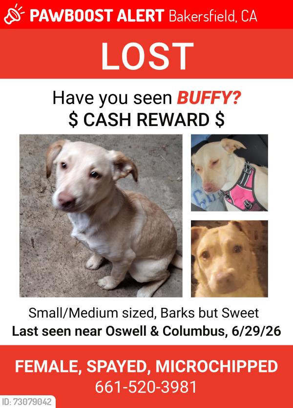 Lost Female Dog last seen Columbus and Oswell, Bakersfield, CA 93306