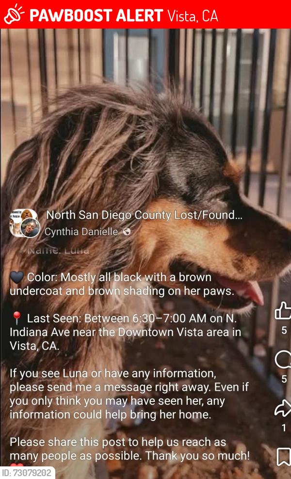 Lost Female Dog last seen S santa fe ave, Vista, CA 92084