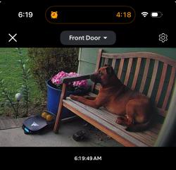 Found/Stray Male Dog last seen Morganton and Reilly Roaf, Fayetteville, NC 28314