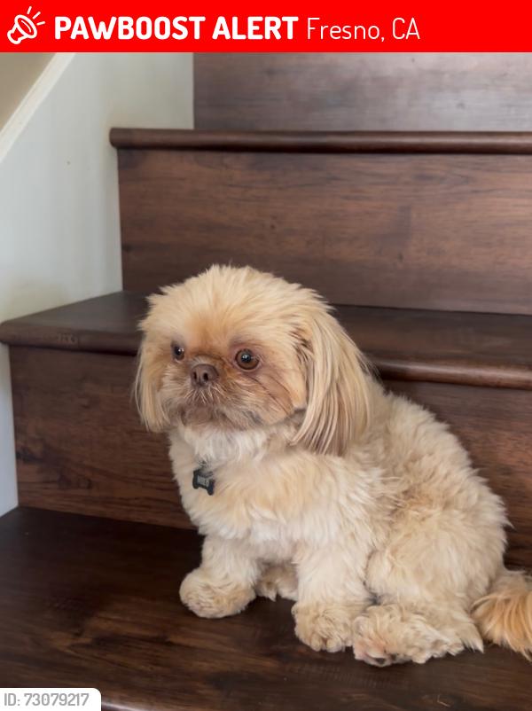 Lost Male Dog last seen hamilton and braly, Fresno, CA 93727