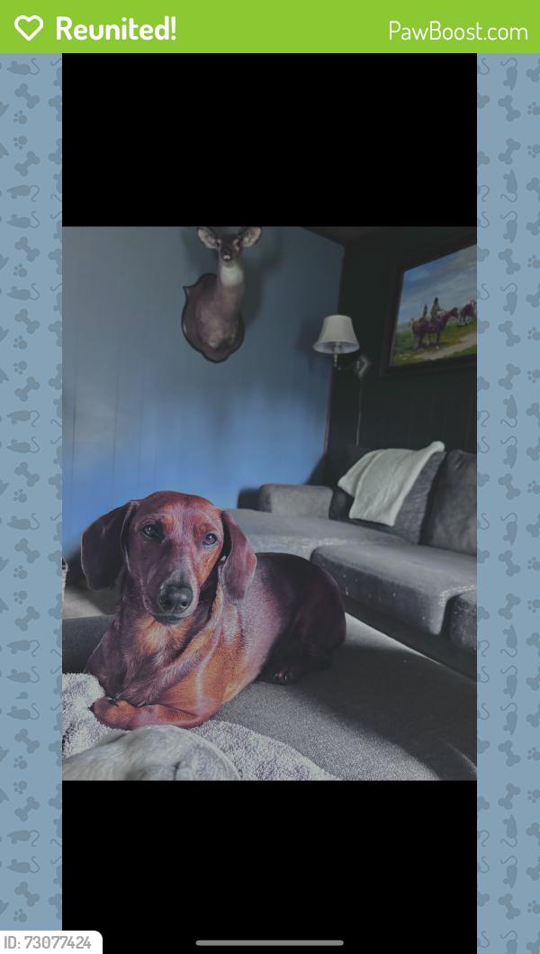 Reunited Female Dog last seen Surbass road , Bay County, FL 32466