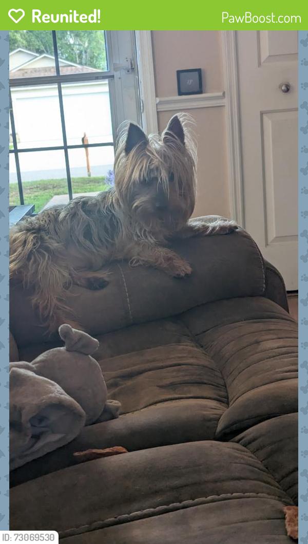 Reunited Male Dog last seen Deanna and Lake Pleasant Rd , Apopka, FL 32703