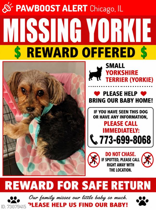 Lost Female Dog last seen Near 79th and between Pulaski and kedzie in terms of main streets, Chicago, IL 60652