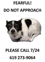 Lost Male Dog last seen Goode St, San Diego, CA 92139
