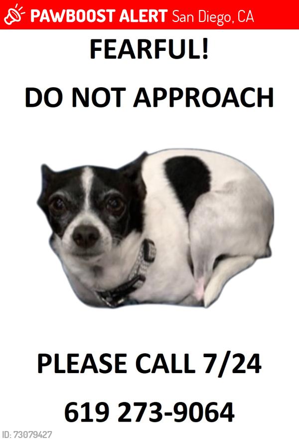 Lost Male Dog last seen Goode St, San Diego, CA 92139