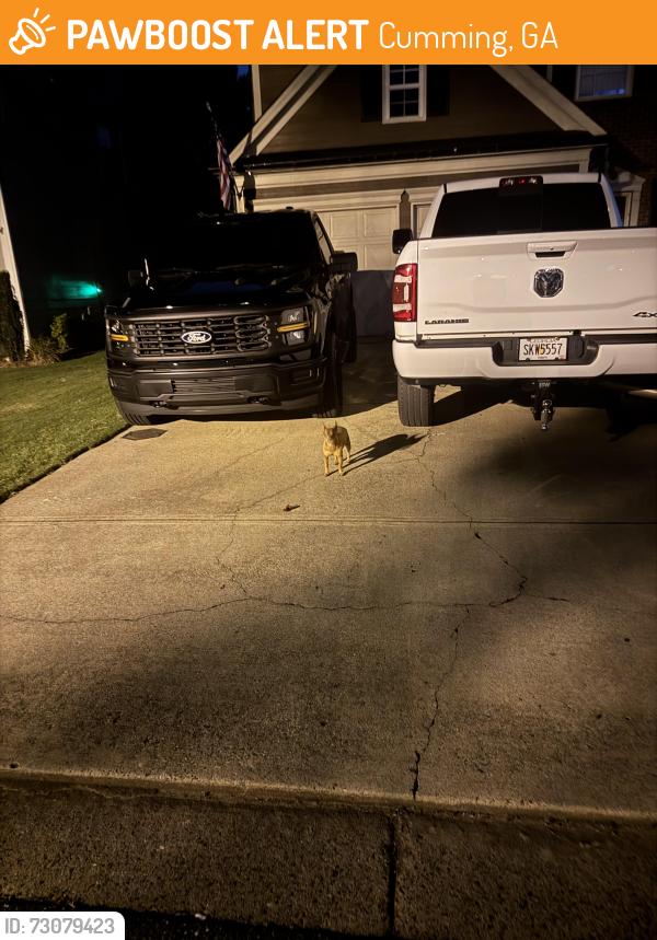 Found/Stray Male Dog last seen Ridgefair Dr, Cumming, GA 30040