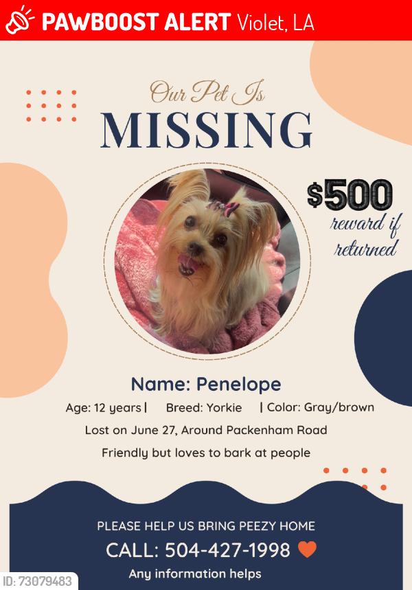 Lost Female Dog last seen Packenham Rd & 3rd Street in Violet, Violet, LA 70092