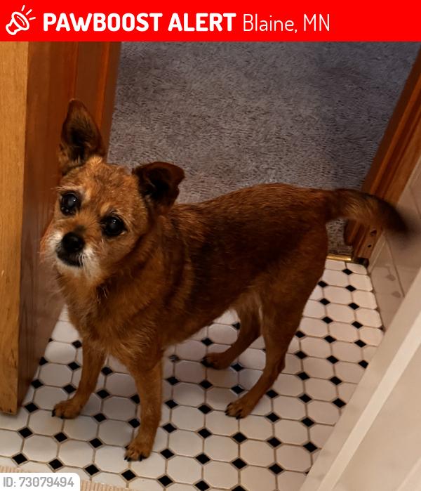 Lost Female Dog last seen Tyler Circle NE and 126th Ave. NE, Blaine, MN 55434