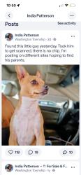 Found/Stray Unknown Dog last seen Grandview, Washington Township, MO 64506