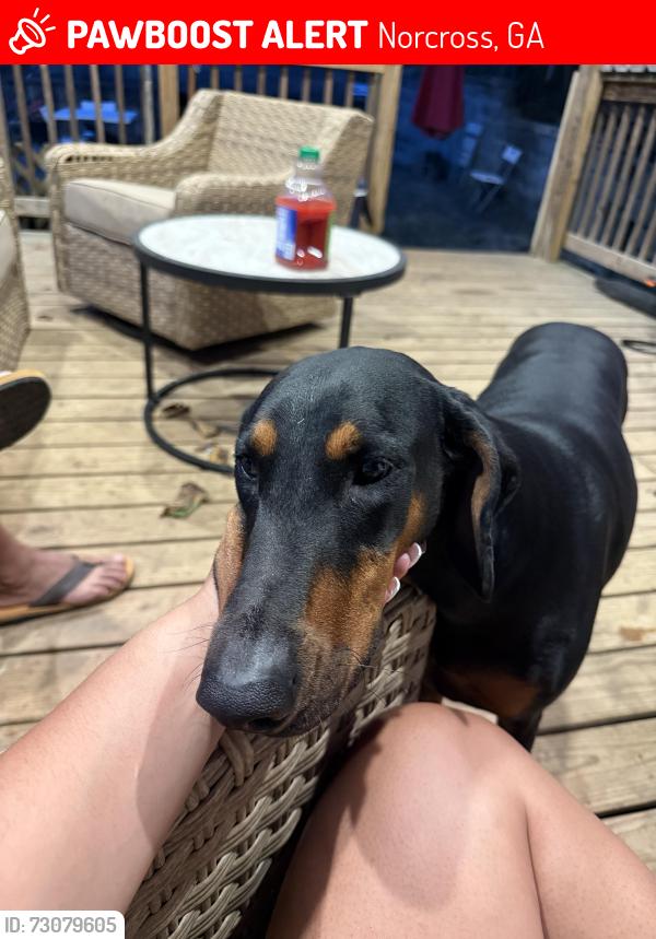 Lost Female Dog last seen Singleton Road, Norcross, GA 30093