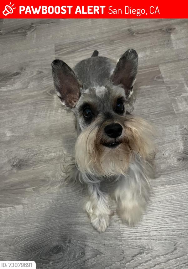 Lost Female Dog last seen Shelltown , San Diego, CA 92113
