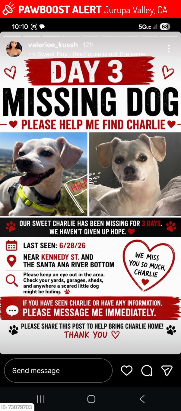 Lost Male Dog last seen Santa Ana river bottom, Jurupa Valley, CA 92509